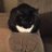 FatCatFig's profile image
