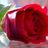 MOTWANINARESH's profile image