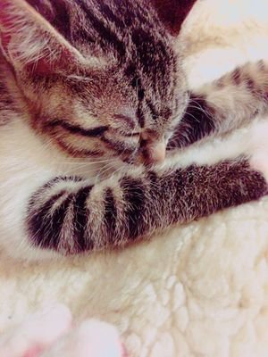 Yacco0327's profile picture. 全都道府県走破達成♪次は国内全空港制覇したい♪運転は1日1000キロまで♪フォローご自由に♪https://t.co/fYuIQlHGzp