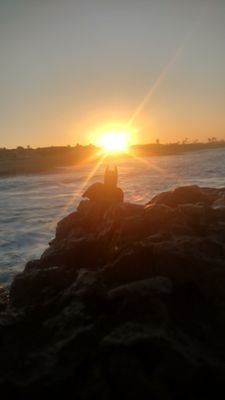 mtdiablomob's profile picture. In the real world as in dreams, nothing is ever quite what it seems.