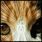 _mikenomiken's profile picture. 