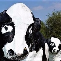 Milton Keynes City (@miltonkeynes_mk) 's Twitter Profile
