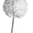 AlliumBistro's profile image
