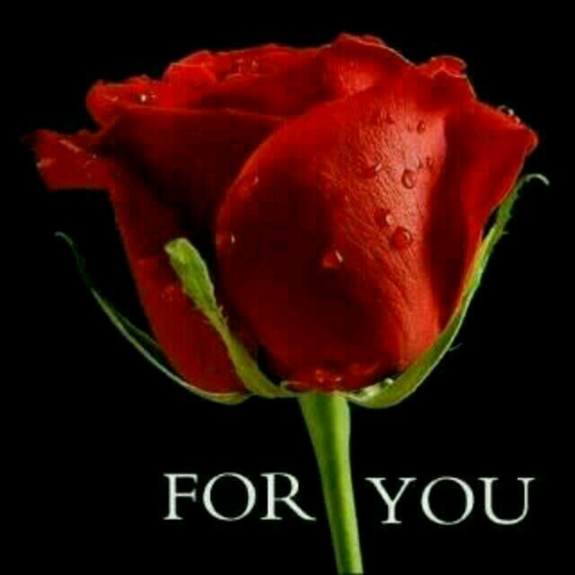 WirbaJoseph's profile picture. 