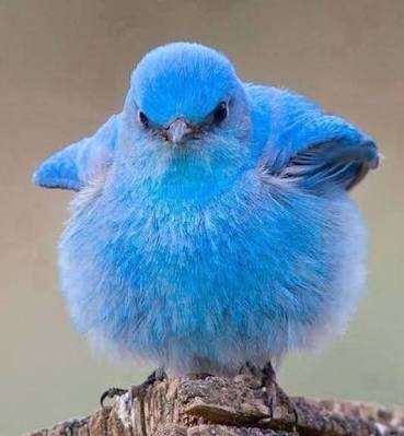 connnoshica's profile picture. 発達障害の情報収集してます。語彙力のなさあるのでいいねボタン連打します