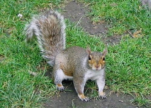 tominwave's profile picture. love travel,art,movie,music ［guitar,ukulele,sax,piano］bossa nova,jazz,blues,rock,A.O.R,funk,punk,J-pop,classical music…