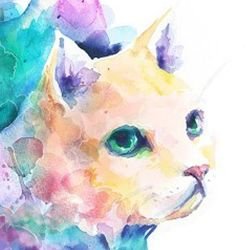 Yukichi_saaaaan's profile picture. ゲームしたりパソコンカタカタしたり。