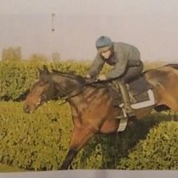 Gearoid O'Loughlin (@gearoidoloughli) 's Twitter Profile