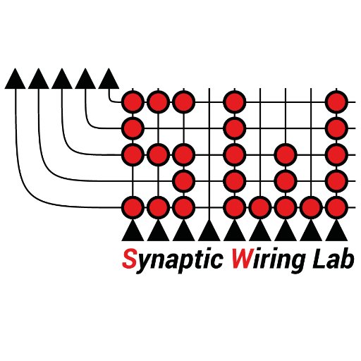 Neuroscientist looking at life through lenses. Trying to run a lab and finding out what synapses are good for. See: https://t.co/yuUT1P2ocx