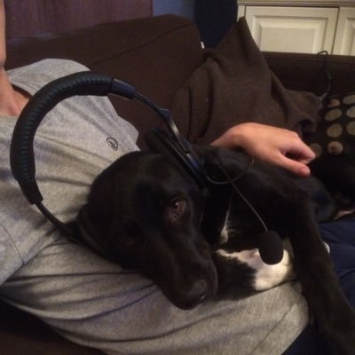 lazawert's profile picture. Addictions scientist. Mom. Prof. Toronto FC fan. Dog person.