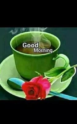 Sana05063725's profile picture. News