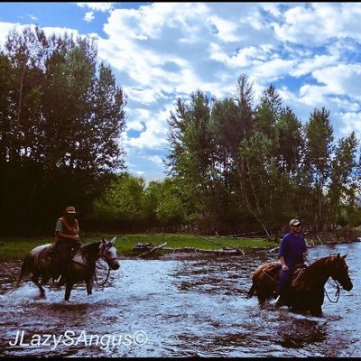 livestock Asst. Extension agent.