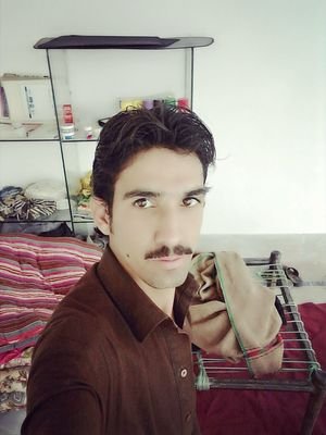 MSARDARALISHAH2's profile picture. I'm pti amd tiger