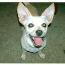 David Wampler - @moneydog - Twitter