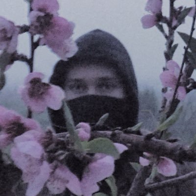 KingHiatus's profile picture. 