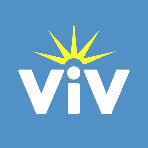 Viv Web Solutions Profile