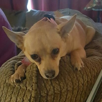 TannaHeatherly's profile picture. 