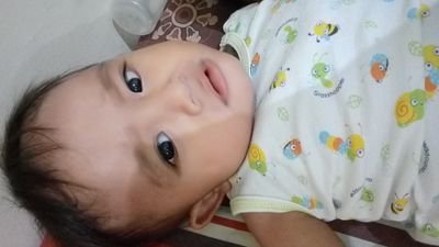 bMainCerdas's profile picture. Smart Living in the huge city need more than smart idea