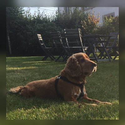 ProsecJohnny's profile picture. 