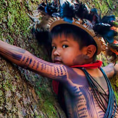 Congrès sur la Déforestation en Amazonie