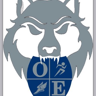 Oswego East Men's Cross Country and Track & Field Profile