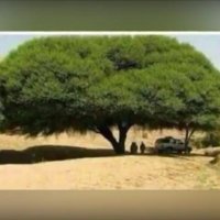 "..عبدالله.." (@aa1bs) 's Twitter Profile