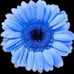 valhallamedical's profile picture. 