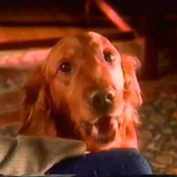ROLL THE BEAUTIFUL BEAN FOOTAGE the actual dog from the bean commercial