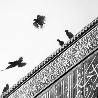 حساب يهتم في نشر روائع الأسلام في زمن كثر فيه الفتن