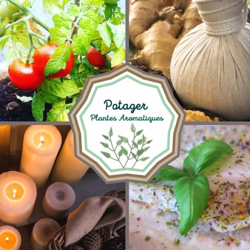 Passionnée de jardinage, plantes aromatiques et nature. De nombreux articles santé et recettes de cuisine.