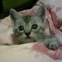 サッカン (@satkan126) Twitter profile photo