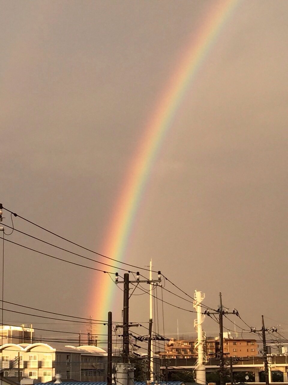 piyo3074's profile picture. 