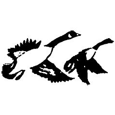 TidewaterTimes's profile picture. 