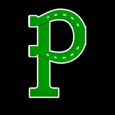 Official twitter handle of the Portage Lady Mustangs Basketball. Not directly affiliated with Portage Area School District