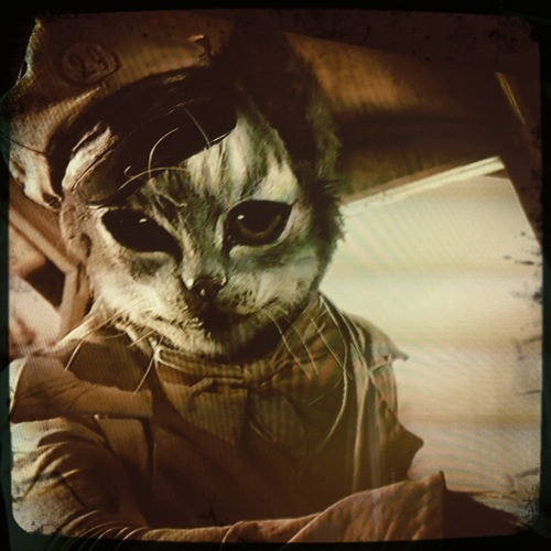 ACatNamedFrydd's profile picture. I eat brainz