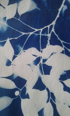 SallyGaule's profile picture. artist photographer based in Johannesburg