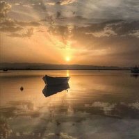 Alex (@freenormal) 's Twitter Profile