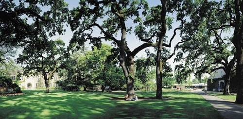 SRJCCommunityEd's profile picture. 