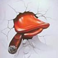 Marie Fabbri (@mariefabbri) Twitter profile photo