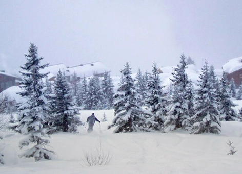 DarioBertol's profile picture. I really wouldn't bother following me. I have nothing interesting to say.