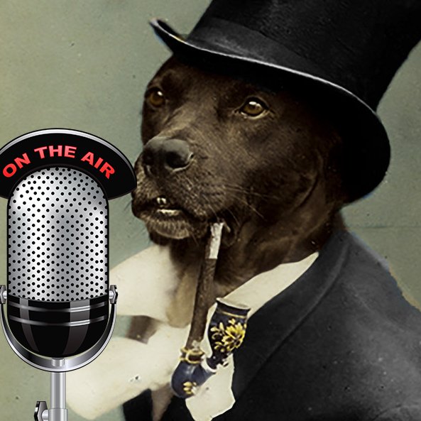 readwipedandble's profile picture. I'm mad as hell and I won't take it anymore. Systems Buster, Truth Seeker and a Genuine Non-Conformist Rebel.