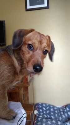 chhader_alsey's profile picture. 