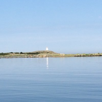 Svanen_Gaming's profile picture. 