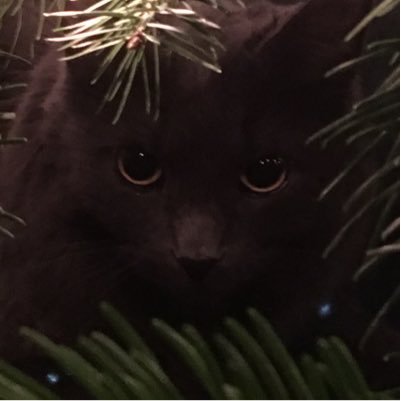 kerri977's profile picture. 