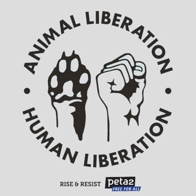 I am an enthusiastic animal advocate on the journey to let my life reflect love for all. #vegan