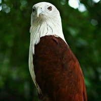 RAJNEESH KUMAR CHANDRAKAR (@007rajneesh) 's Twitter Profile Photo RAJNEESH KUMAR CHANDRAKAR (@007rajneesh) 's Twitter Profile Photo