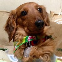 えたーなるばりゅー (@eternal_value) 's Twitter Profile