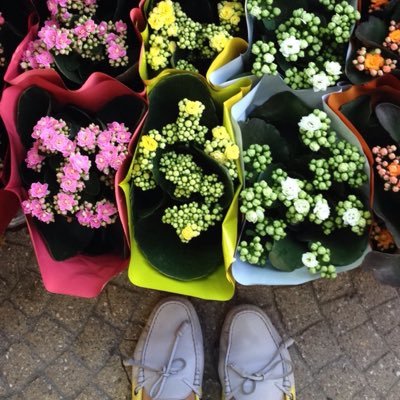 wafamobaireek's profile picture. دكتوراه في التسويق و ريادة الاعمال و مهتمه جدا بالعمل الاجتماعي