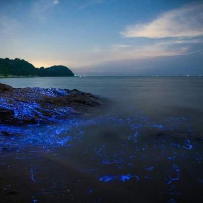 a2zxrq's profile picture. سبحان الله وبحمدة سبحان الله العظيم. ### تابعني وبتابعك تلغي بلغي وراك .....،،،، اللهم اكفني بحلالك عن حرامك وأغنني بفضلك عن سواك