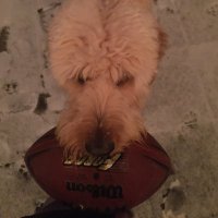 George Hamann - @jorgethedoodle Twitter Profile Photo